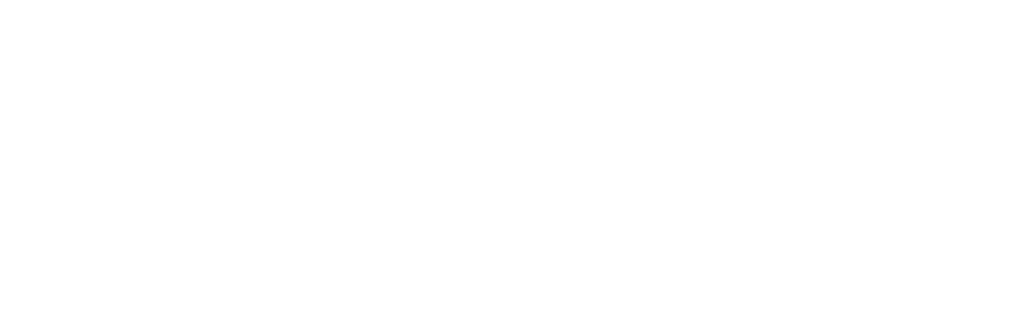 Atom-Audit-Logo-White-horizontal